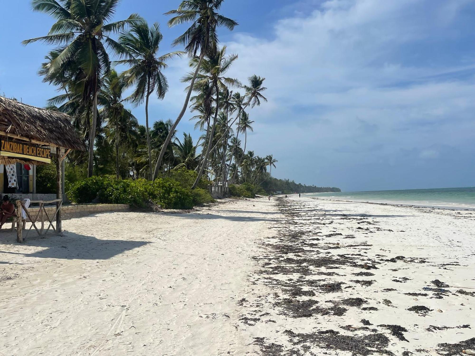 Zanzibar Escape 1&2 Homestay Bwejuu