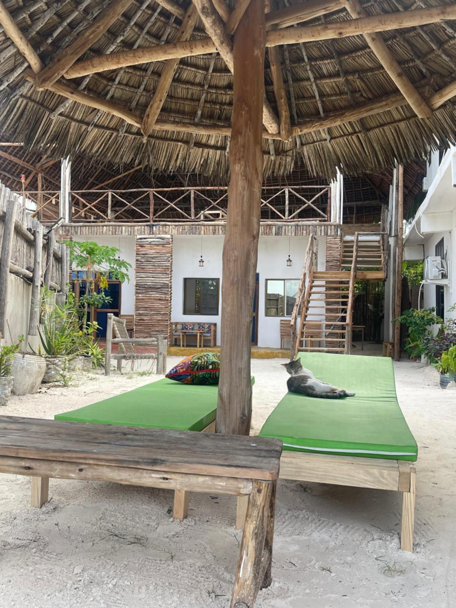 Zanzibar Escape 1&2 Homestay